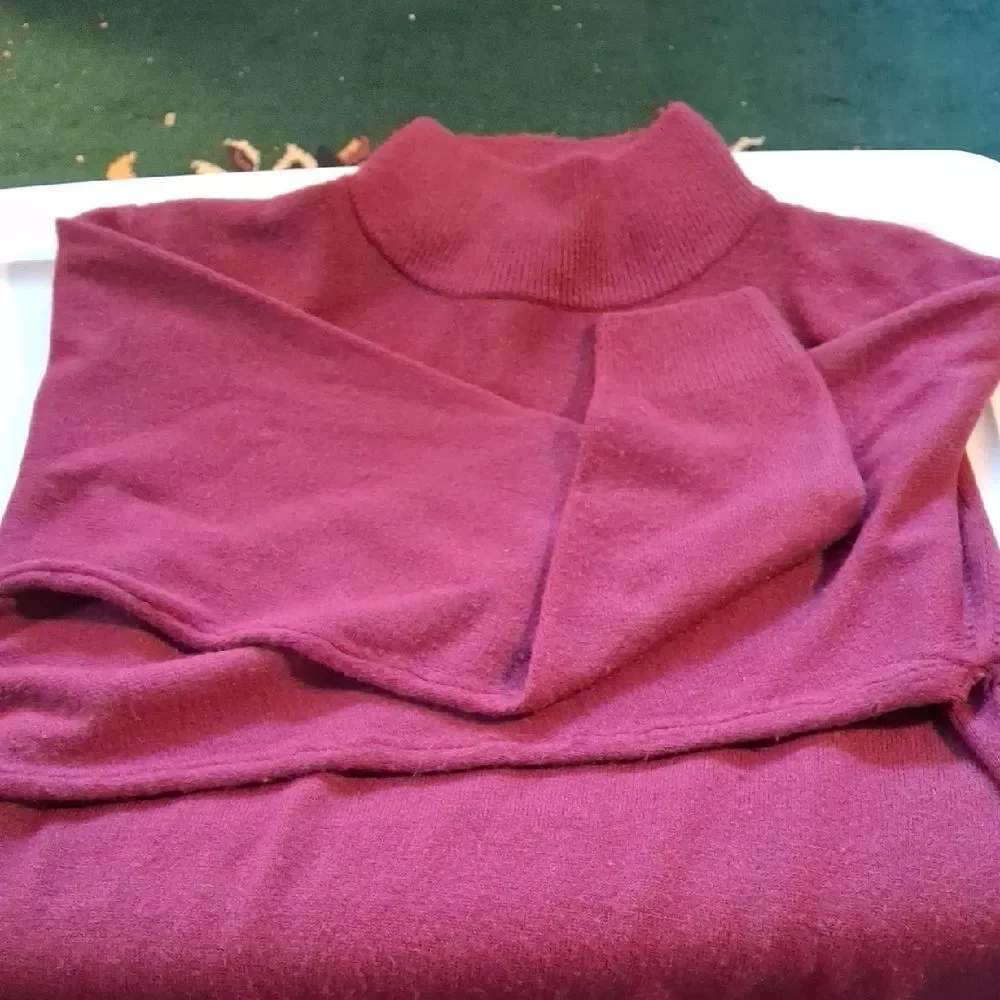 Milano Rich Plum Turtleneck Sweater (Rox204)